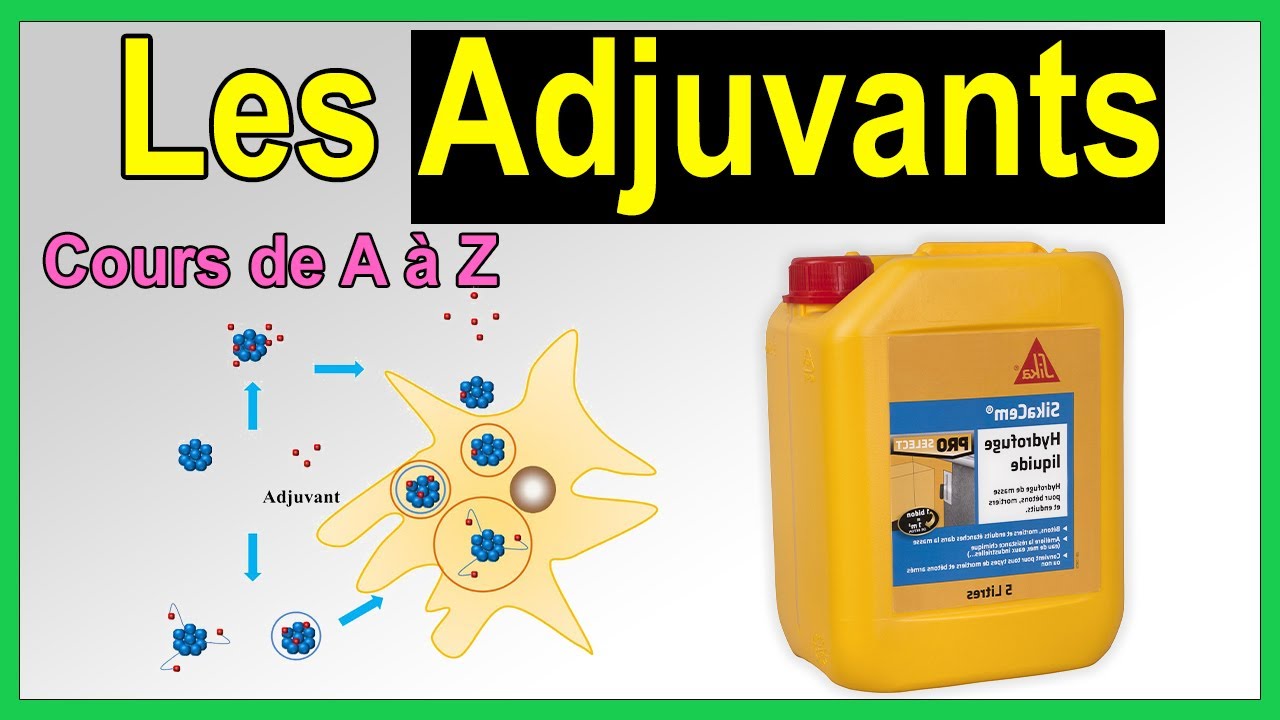 Les adjuvants : un guide complet pour mieux les comprendre